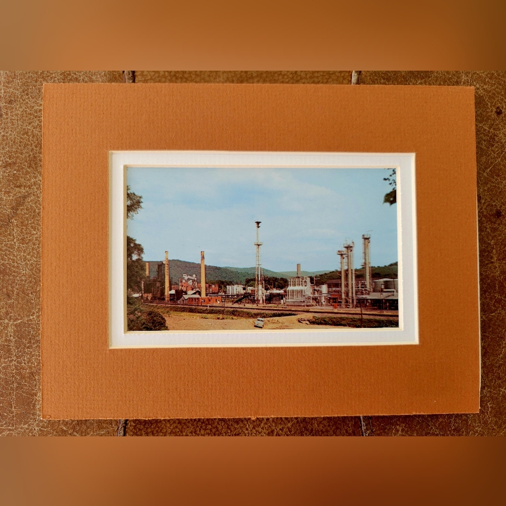 Vintage Oil Plant Picture - Matted